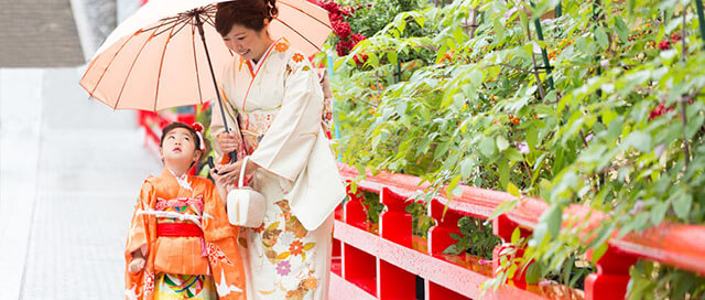 雨の日のお宮さん東京の写真出張撮影